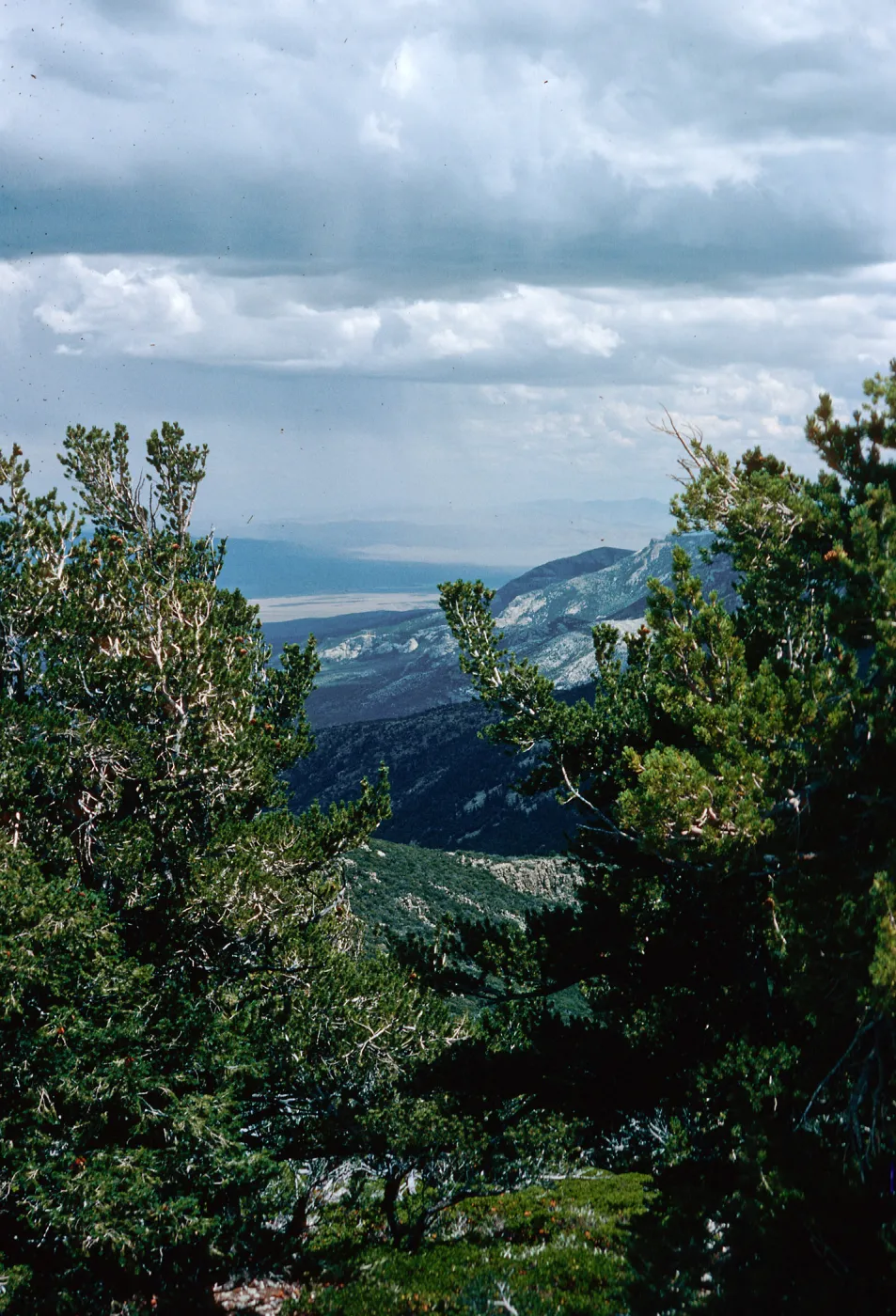 Wheeler Peak, Nevada