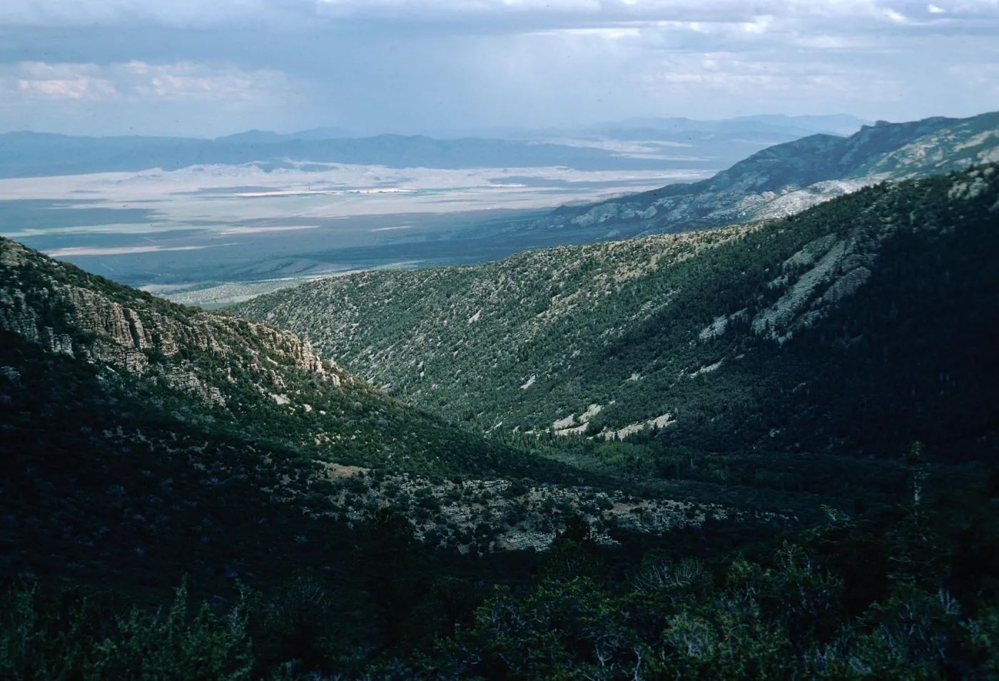 valley, East of Wheeler Peak, Nevada