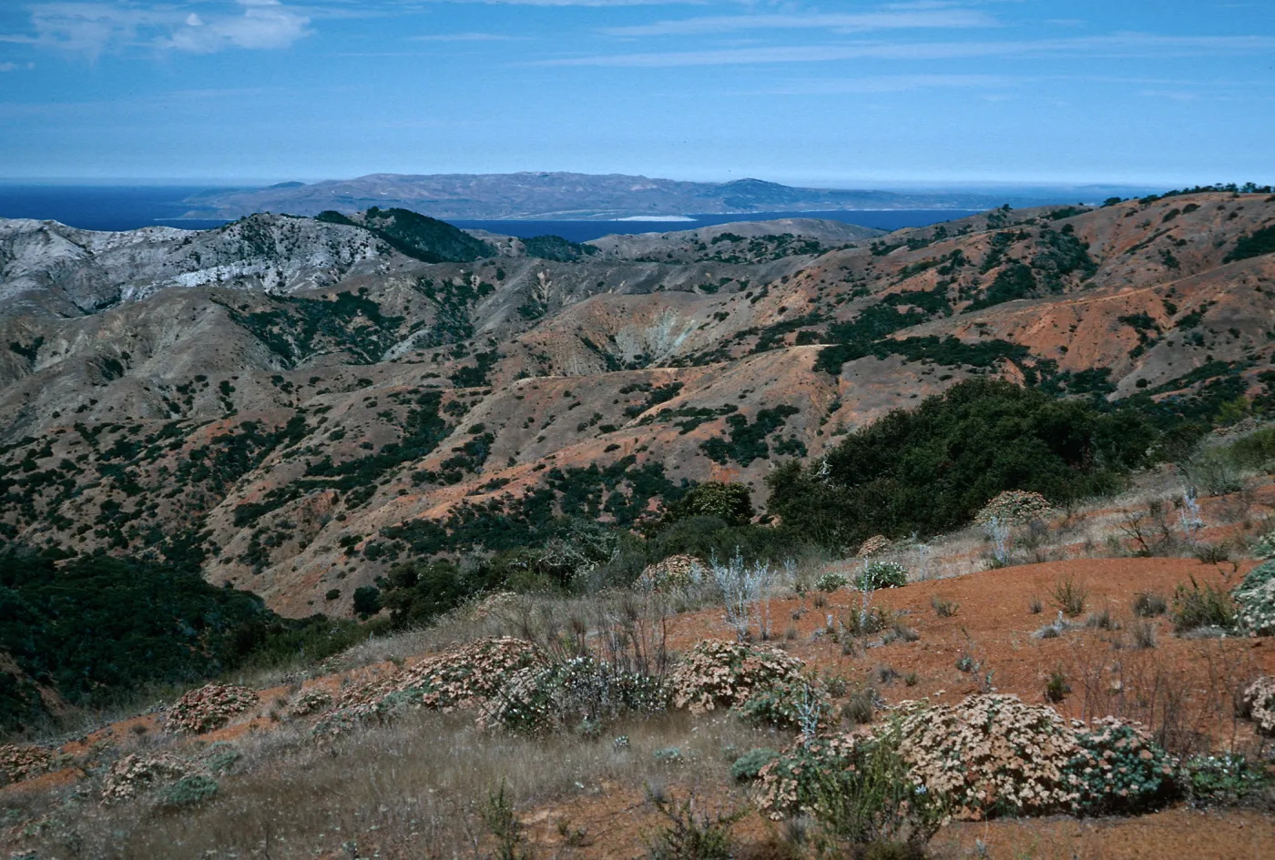 view of Santa Rosa Island from South Ridge Road at Peak 1498, Santa Cruz Island