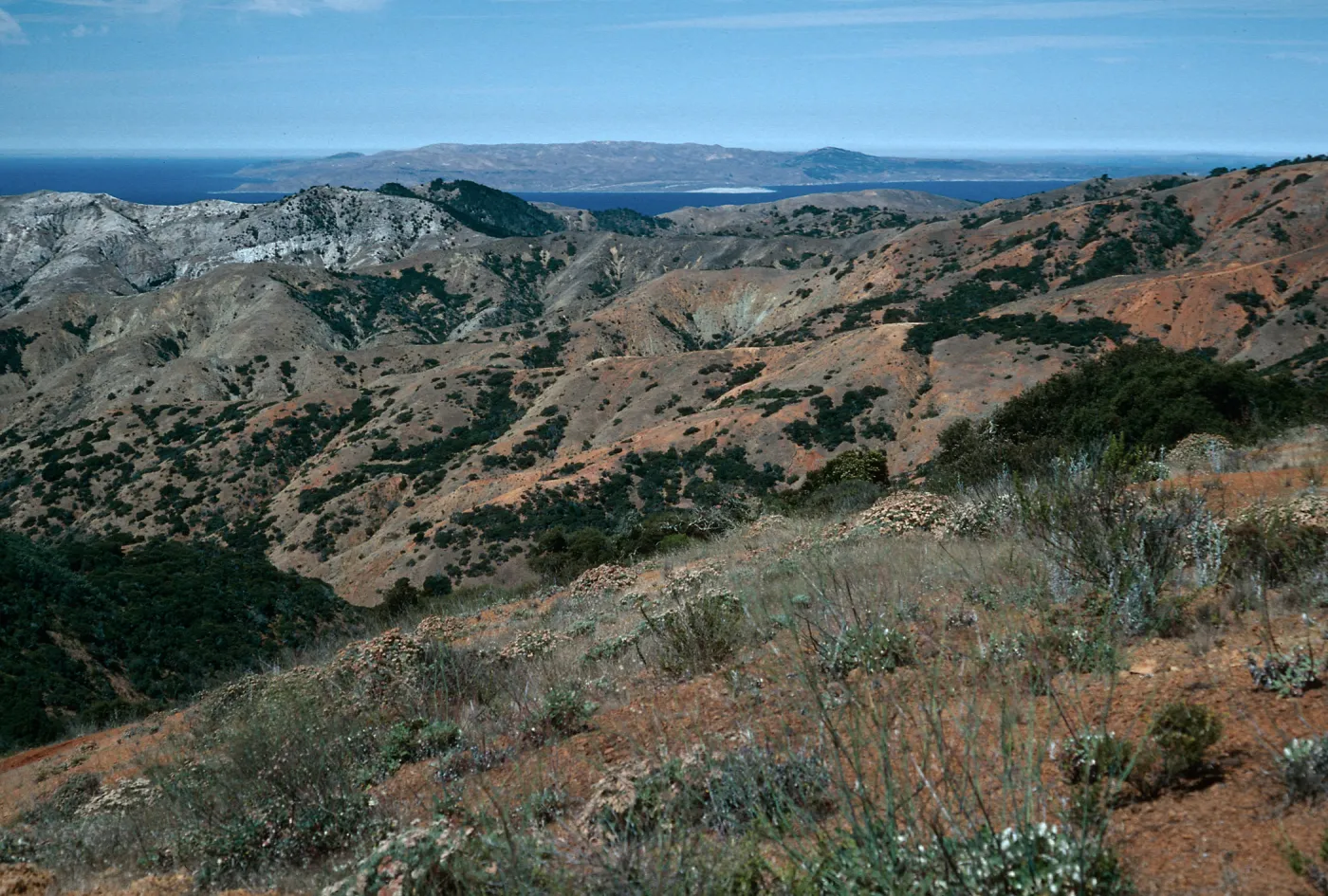view of Santa Rosa Island from South Ridge Road, Santa Cruz Island