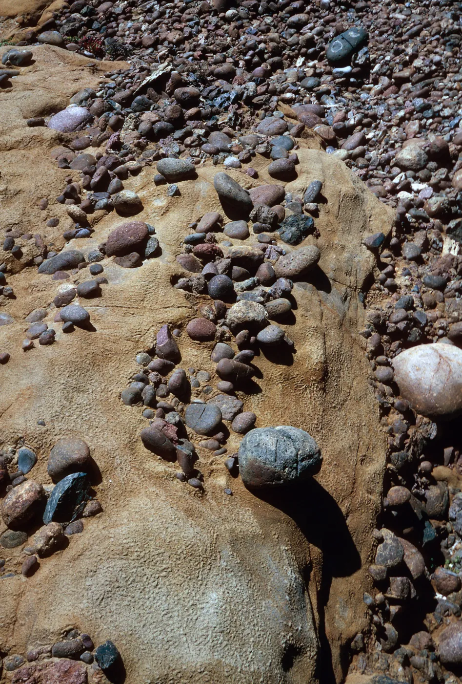cobbles, lower Sauces Canyon, Santa Cruz Island