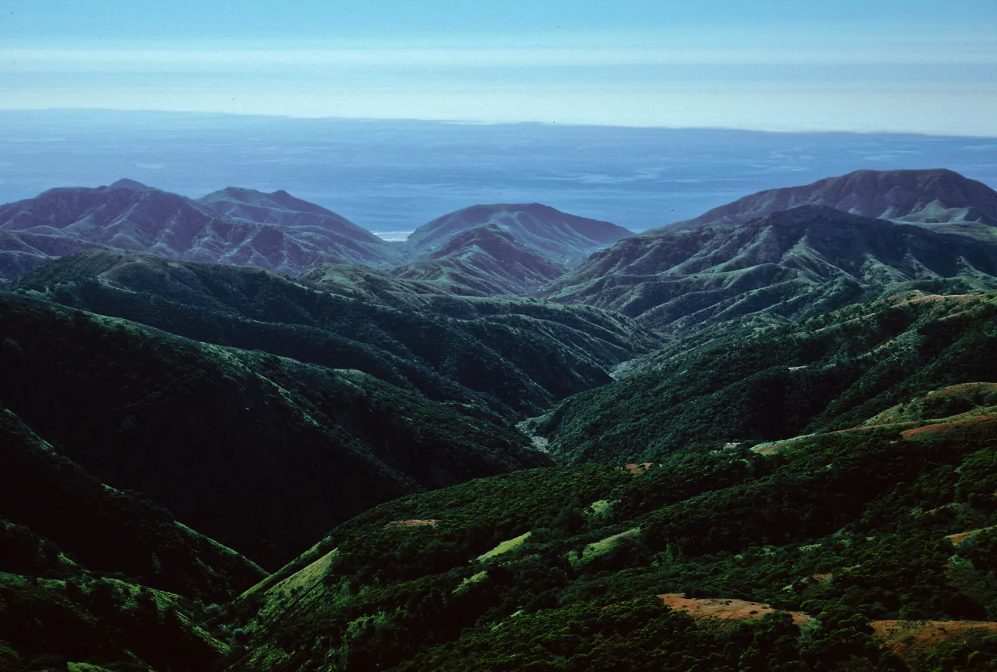 Horqueta & Alamos Canyons, Santa Cruz Island