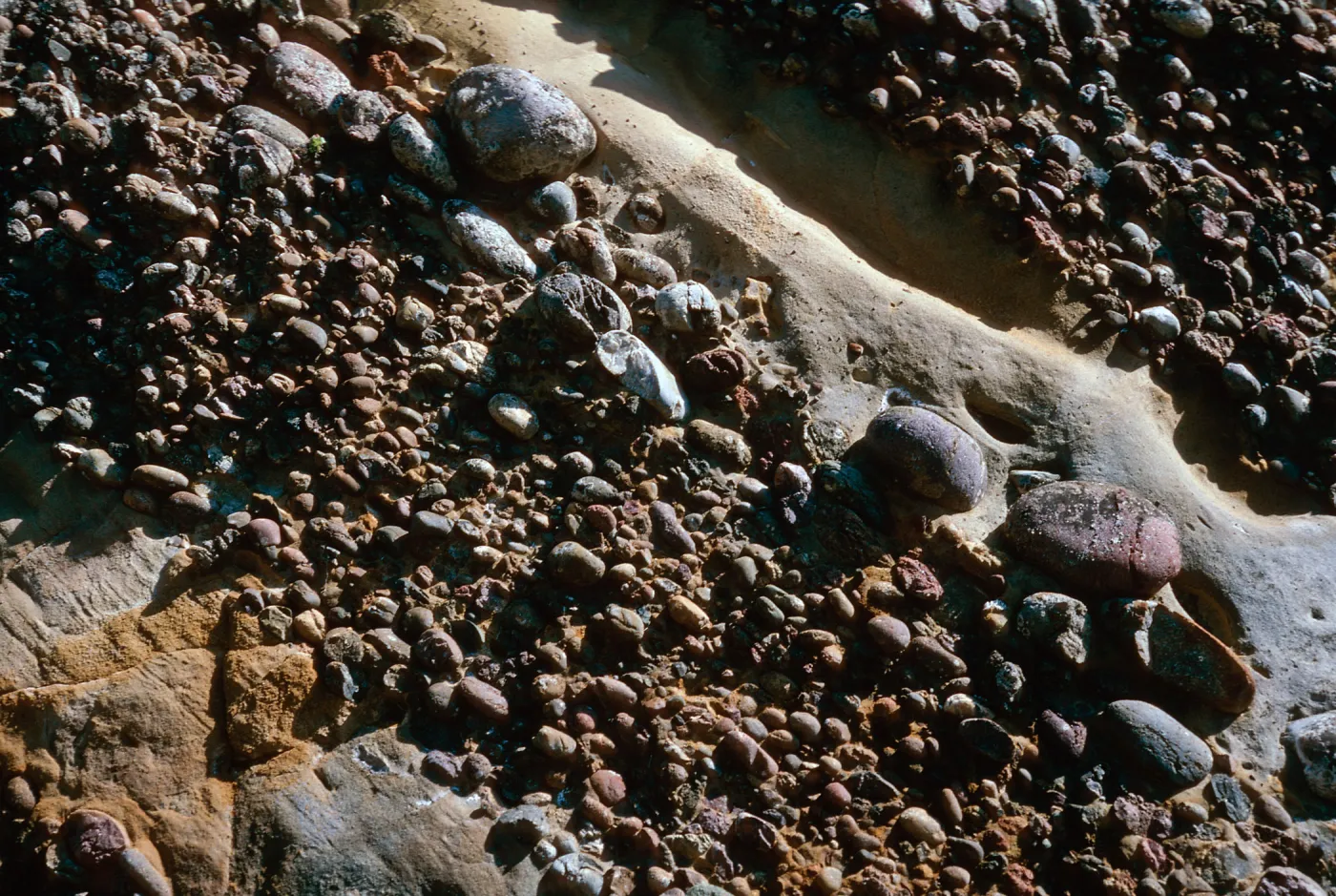 cobbles, lower Sauces Canyon, Santa Cruz Island