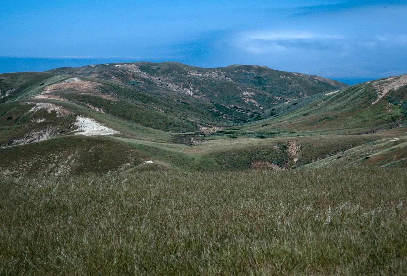 Alegria Canyon, Santa Cruz Island