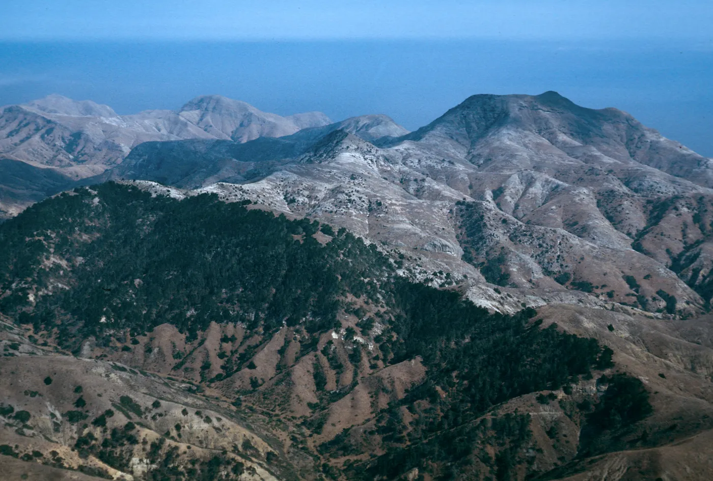Christy Pines & Sierra Blanca ridge, Santa Cruz Island