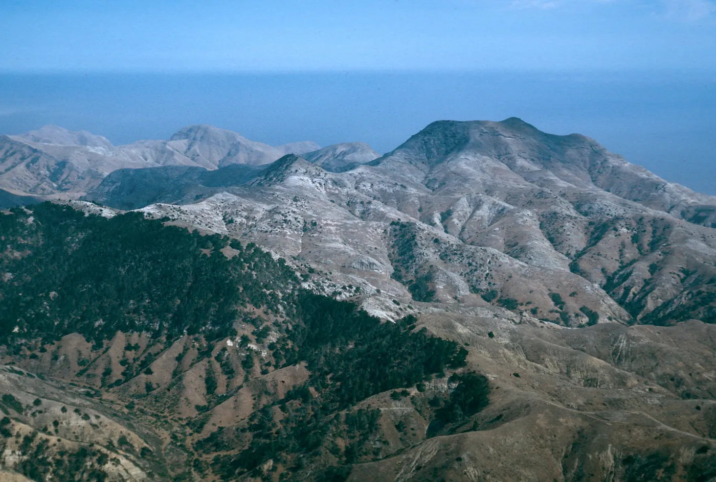 Christy Pines & Siera Blanca ridge, Santa Cruz Island