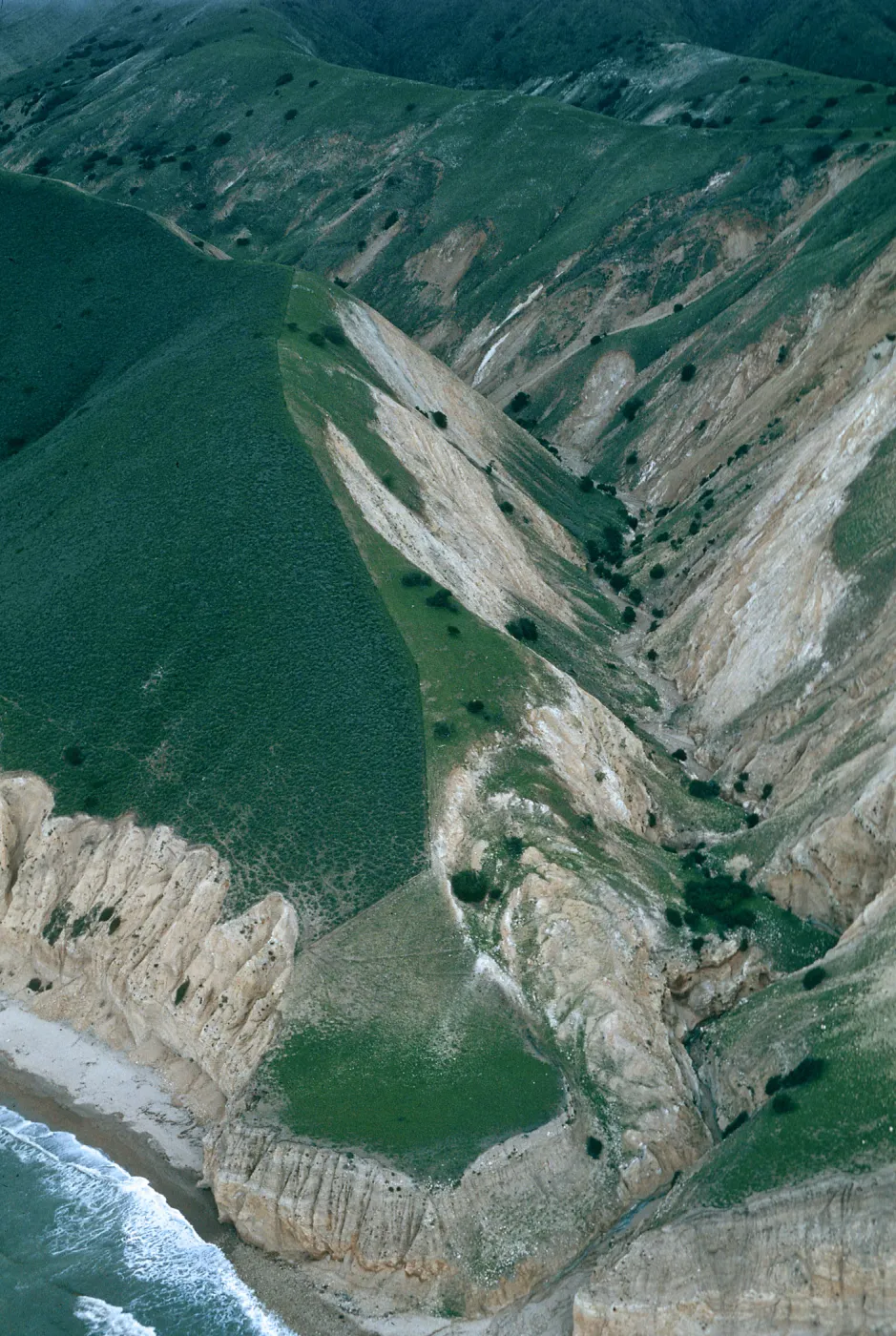 fenceline, MontaÃ±on Canyon, Santa Cruz Island