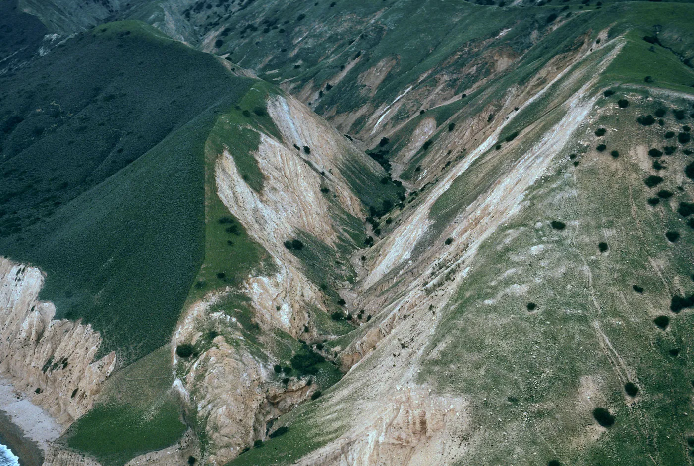 fenceline, MontaÃ±on Canyon, Santa Cruz Island