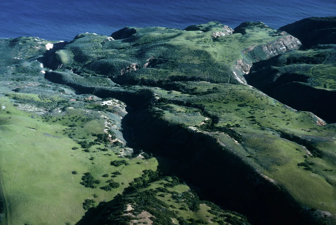 South side, just West of MontaÃ±on Canyon, Santa Cruz Island