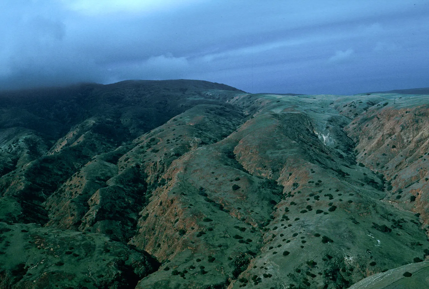 East side of MontaÃ±on ridge, Santa Cruz Island
