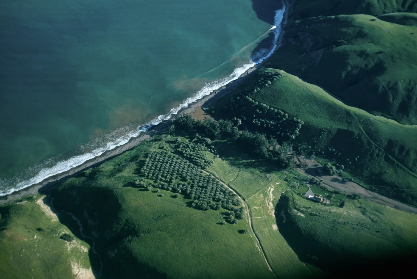 Smugglers Cove, Santa Cruz Island