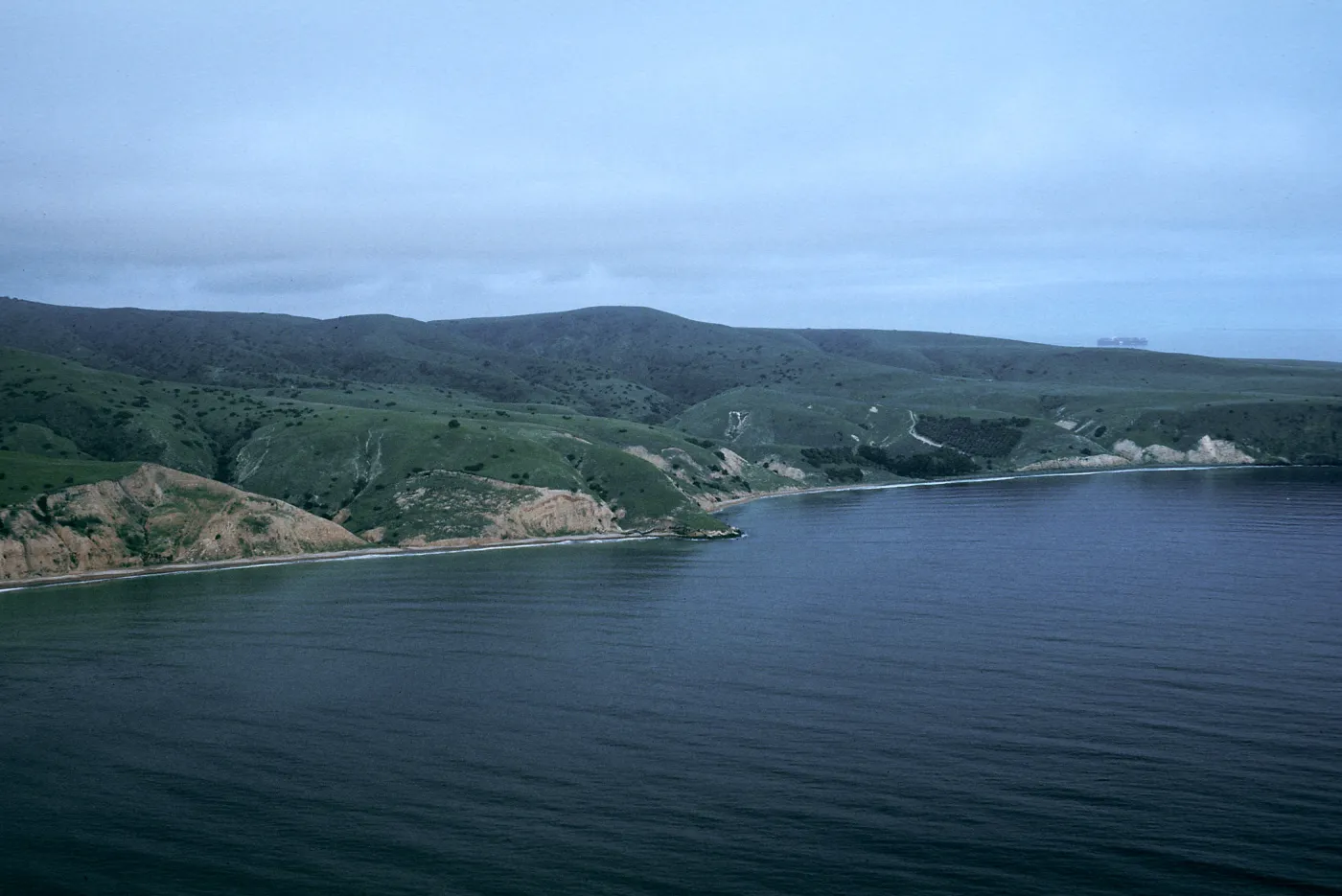 Smugglers Cove, Santa Cruz Island