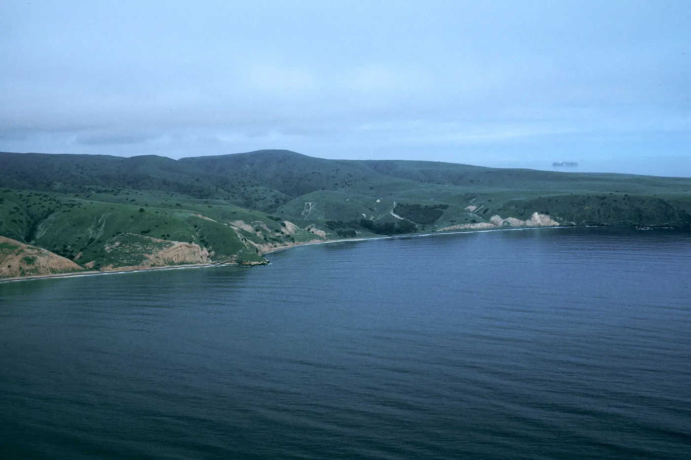 Smugglers Cove, Santa Cruz Island