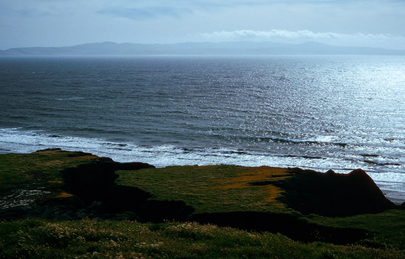 coastal flats, just North of Christy Ranch, Santa Cruz Island