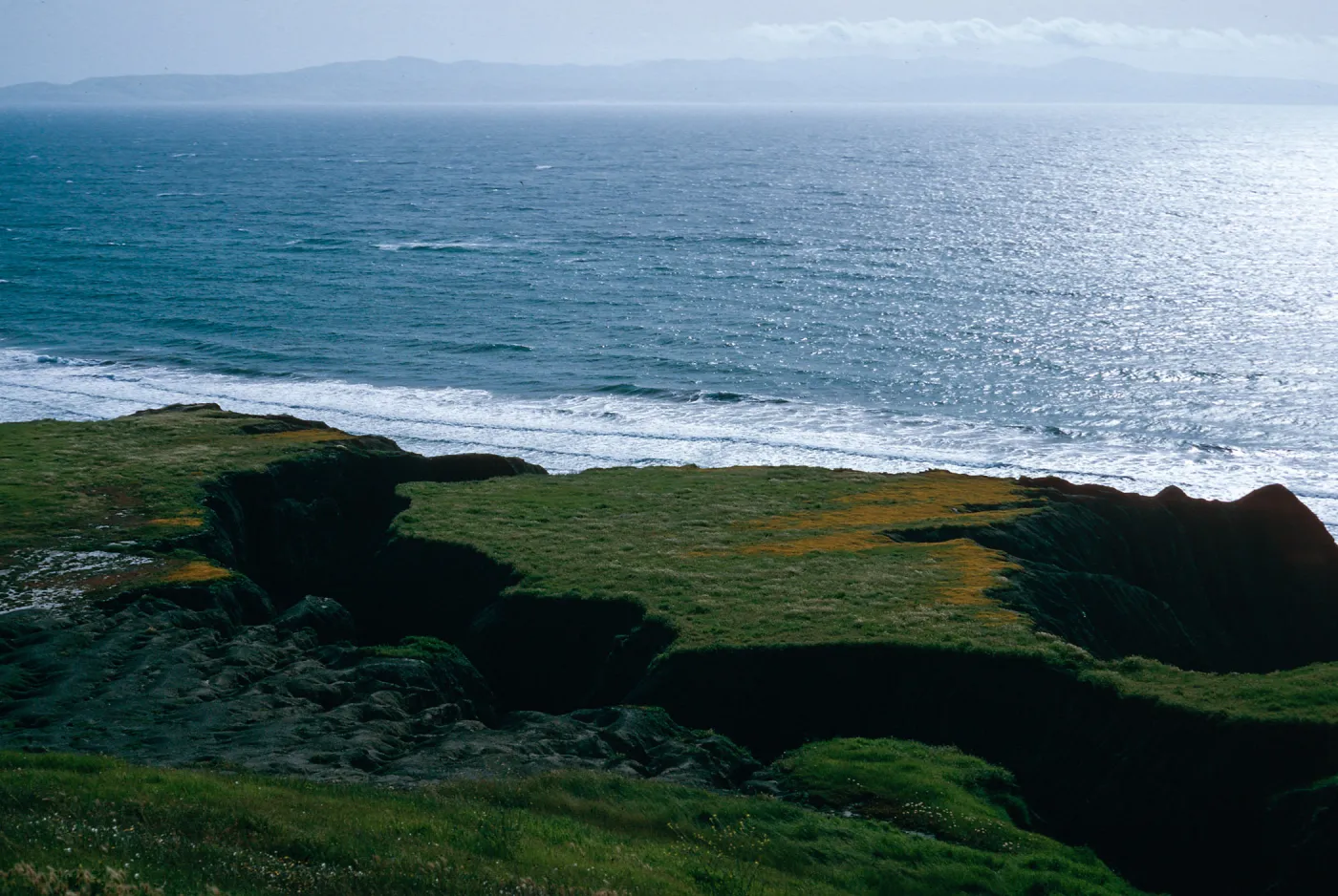 coastal flats, just North of Christy Ranch, Santa Cruz Island