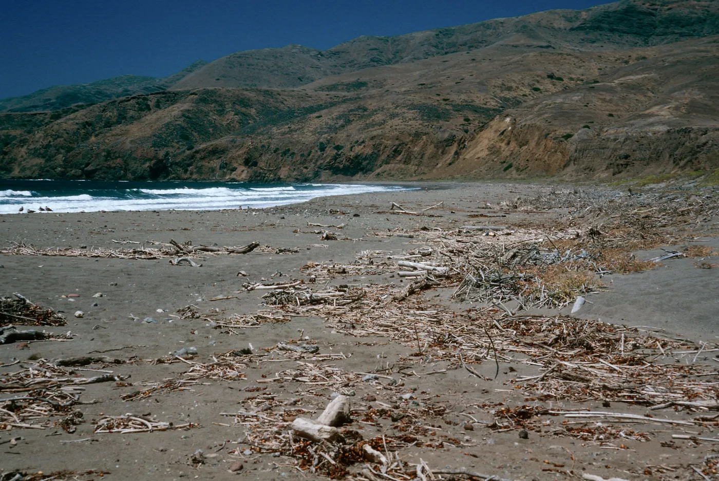 mouth of Christy Canyon, Christy Beach, Santa Cruz Island