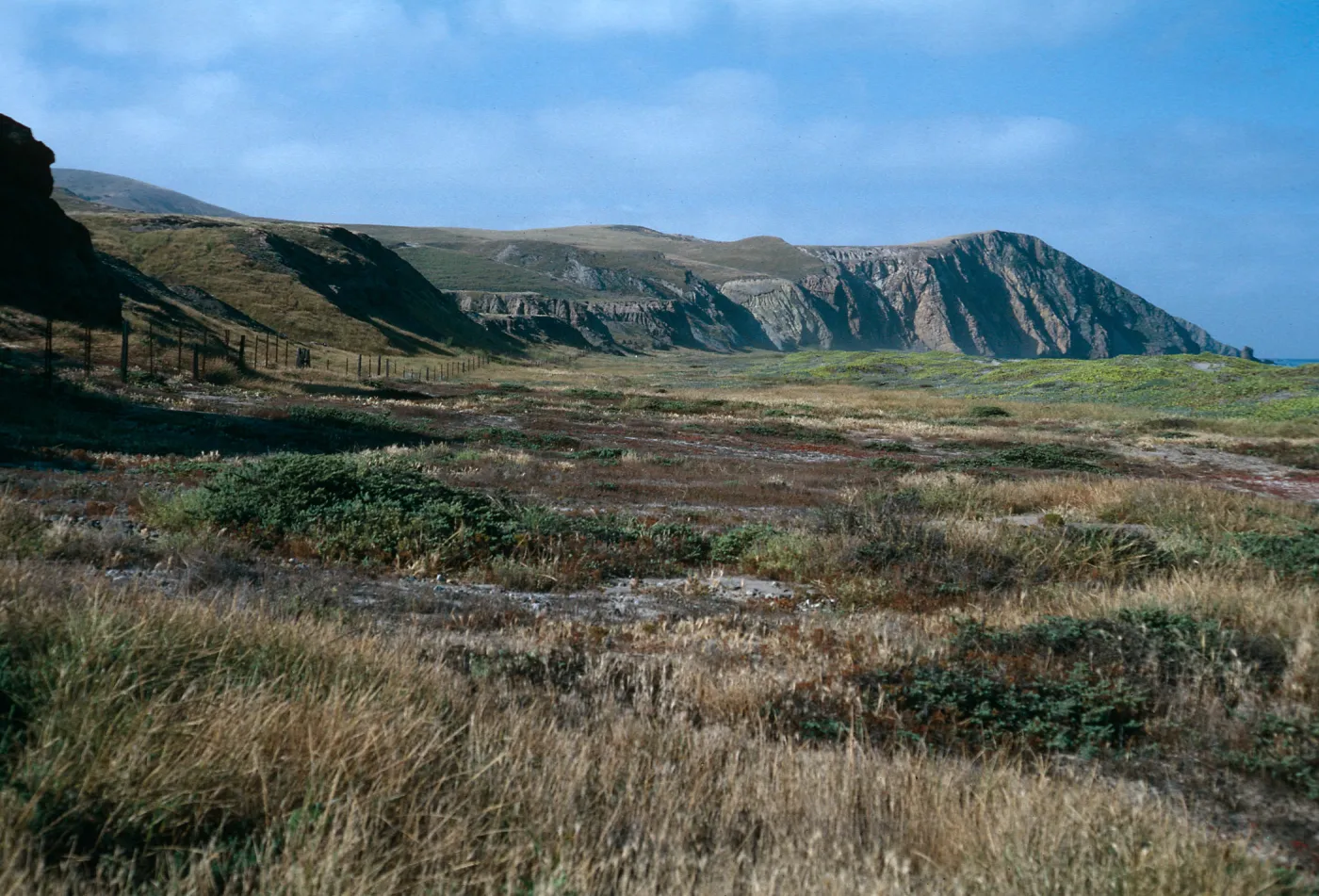 Christy Beach, Santa Cruz Island