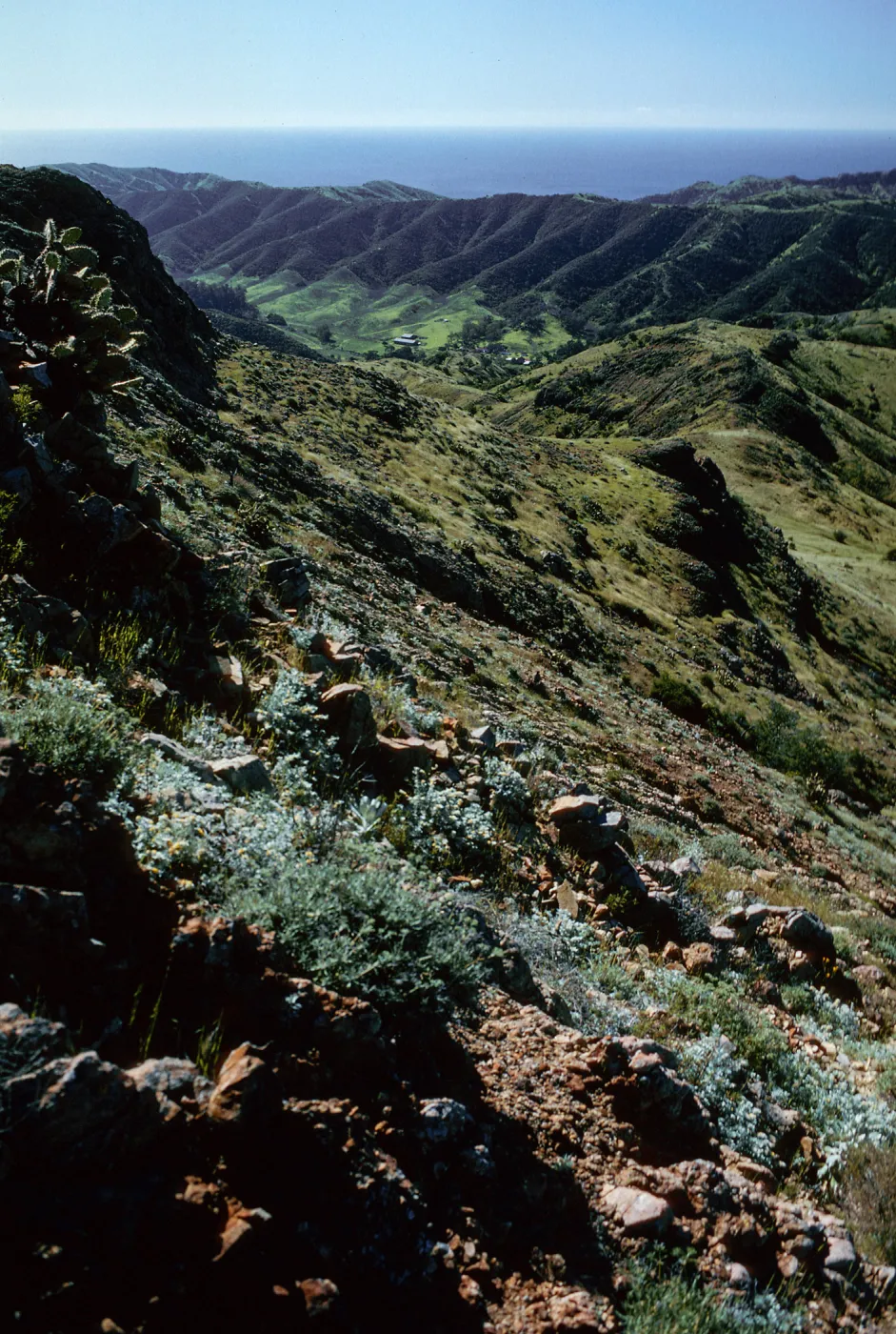 Stanton Ranch from trail to Peak 1848 East, Santa Cruz Island