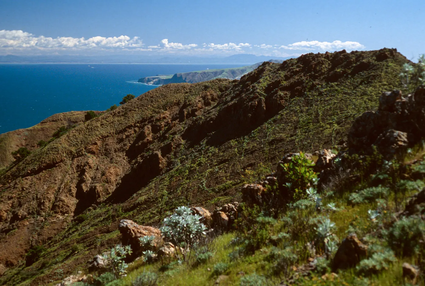 North shore from near Peak 1848 East, Santa Cruz Island