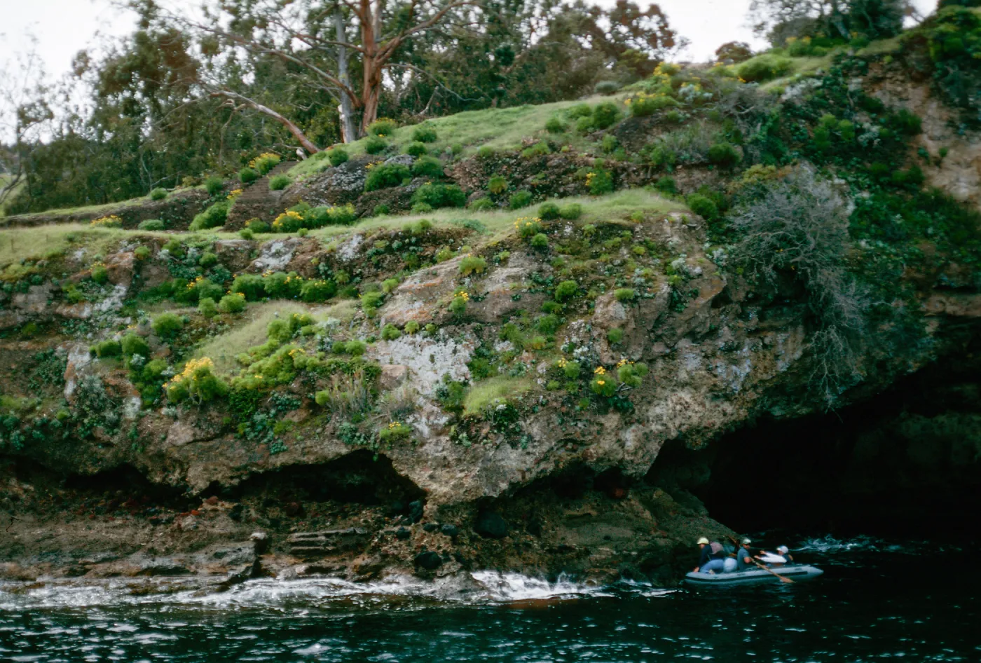 landing, Pelican Bay, Santa Cruz Island