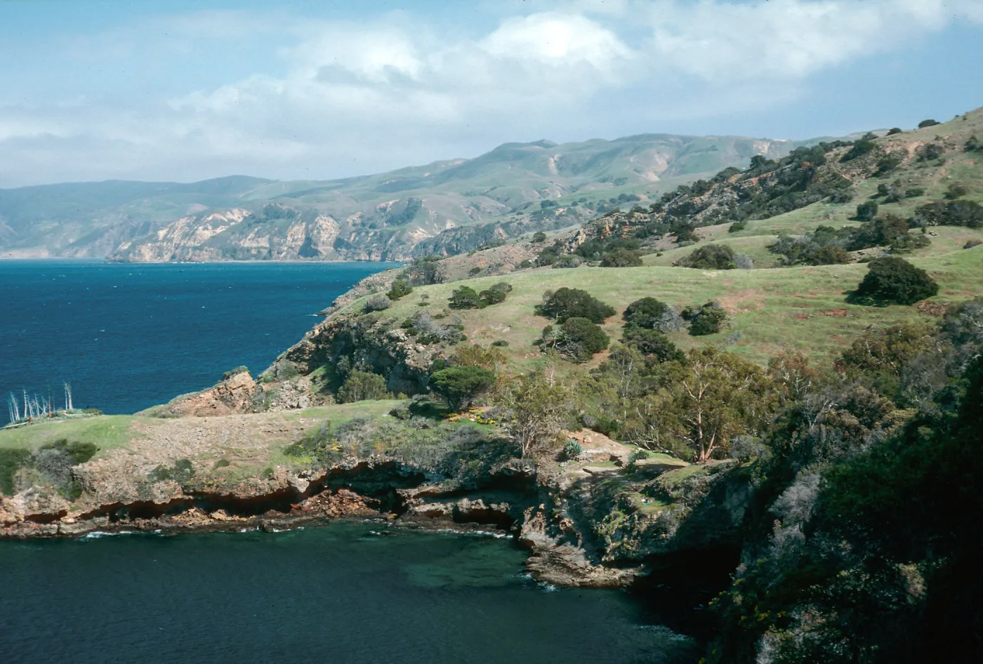 Pelican Bay, Santa Cruz Island