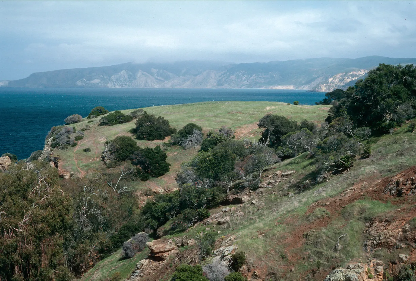 Pelican Bay, Santa Cruz Island