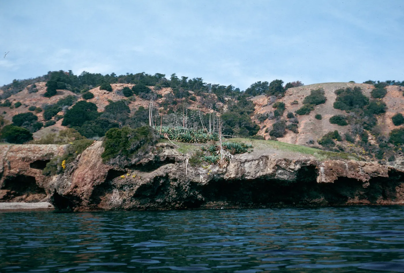 Pelican Bay, Santa Cruz Island