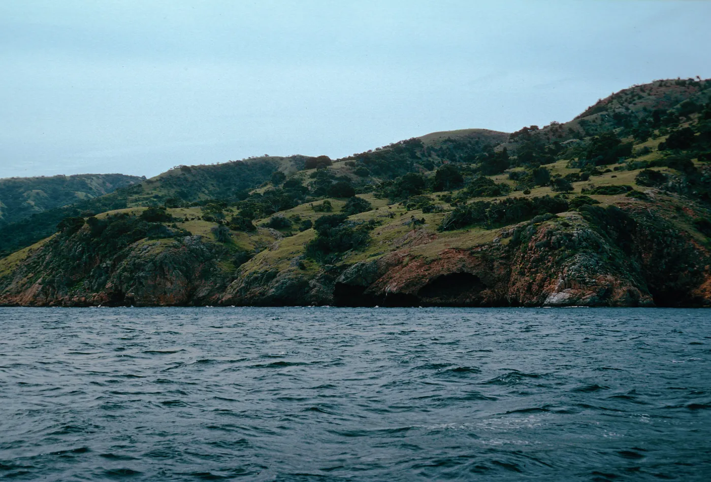 just East of rockside, between Pelican Bay & Prisoners Harbor, Santa Cruz Island