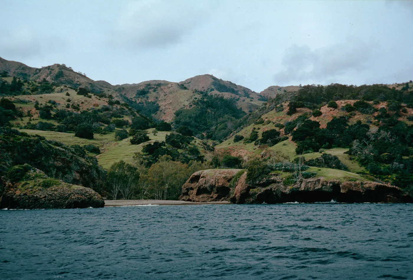 Tinkers, Pelican Bay, Santa Cruz Island