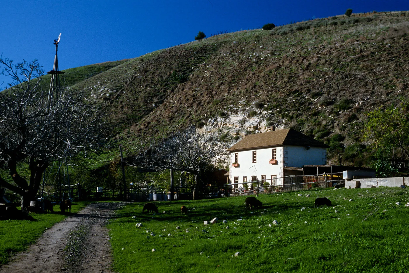 Smugglers Ranch, Santa Cruz Island