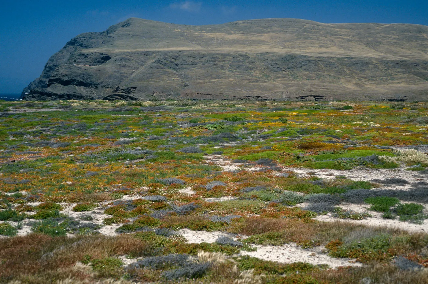 coastal flats, Fraser Point, Santa Cruz Island