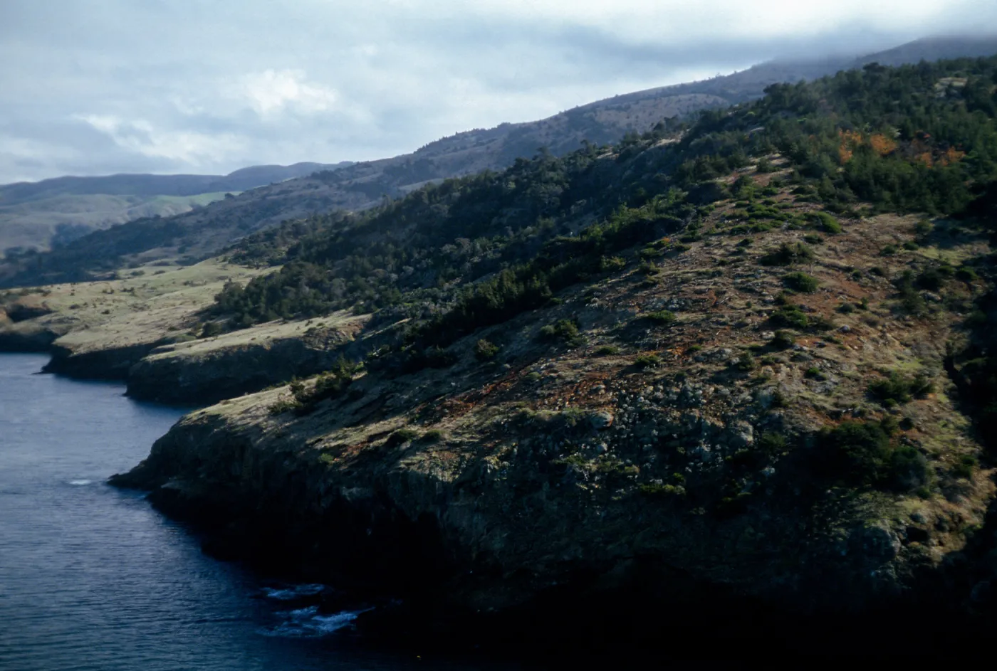 view of Orizaba Flats, Santa Cruz Island