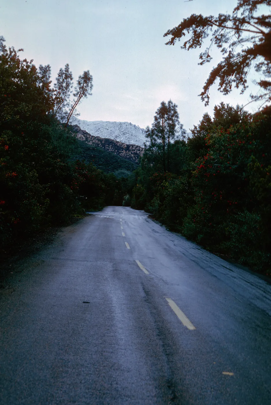 snow on Santa Ynez Mountains, Mission Canyon Road, Santa Barbara County