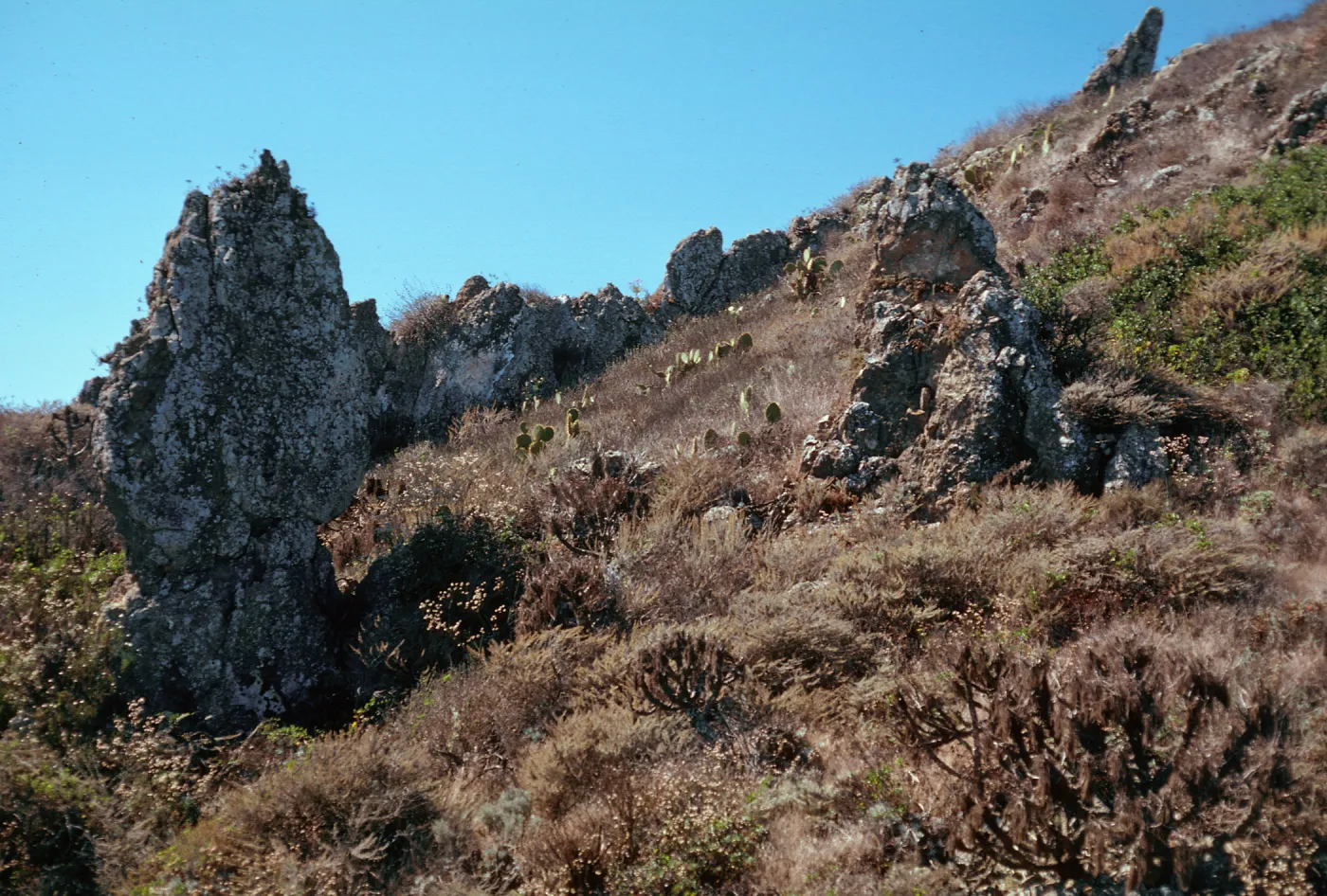 W. Anacapa Island--NE of Camel Peak