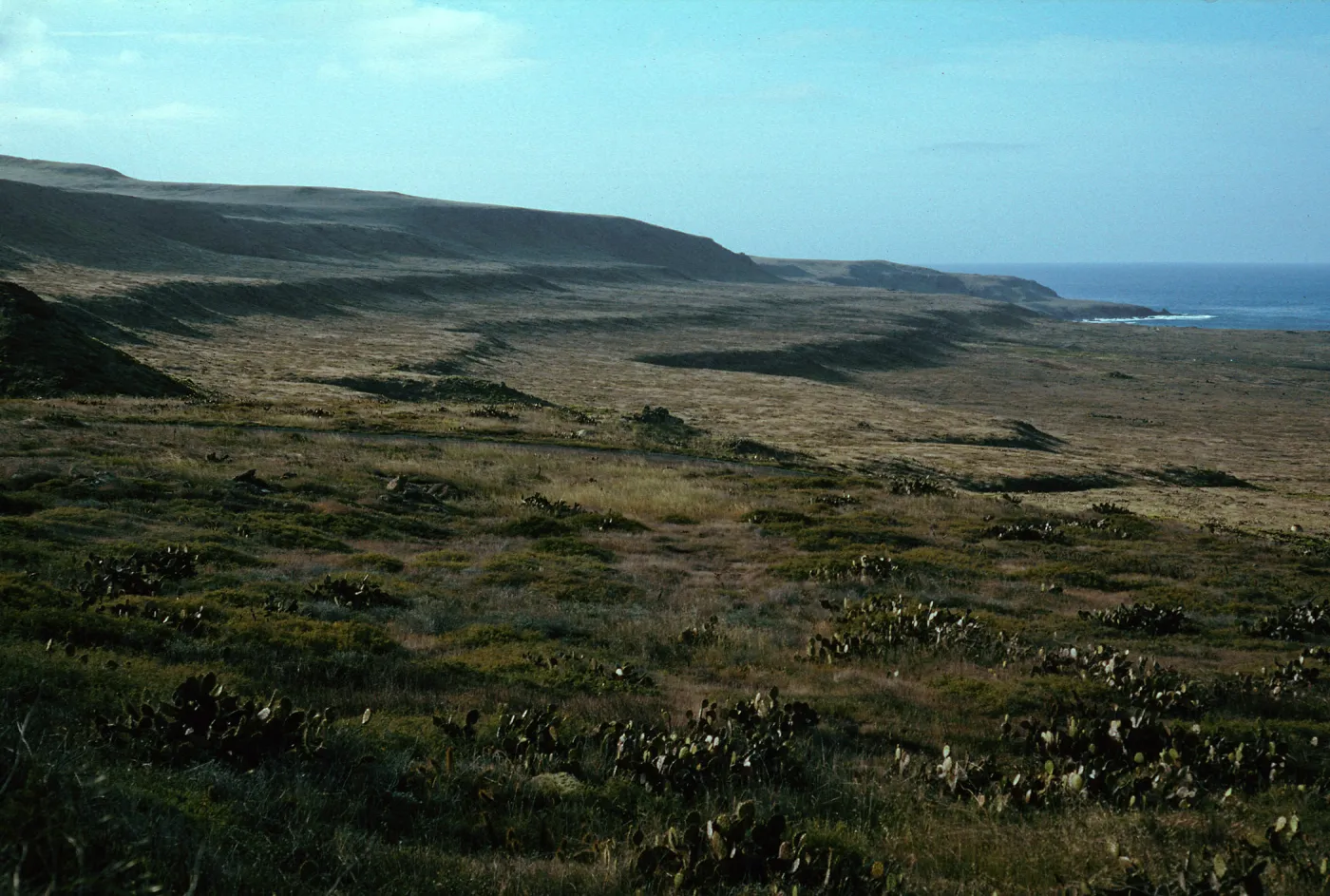 San Clemente, Island-marine terrace, Marine Terrace Grade