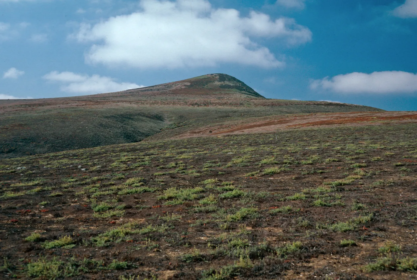 Santa Barbara Island, North Peak from Arch Point
