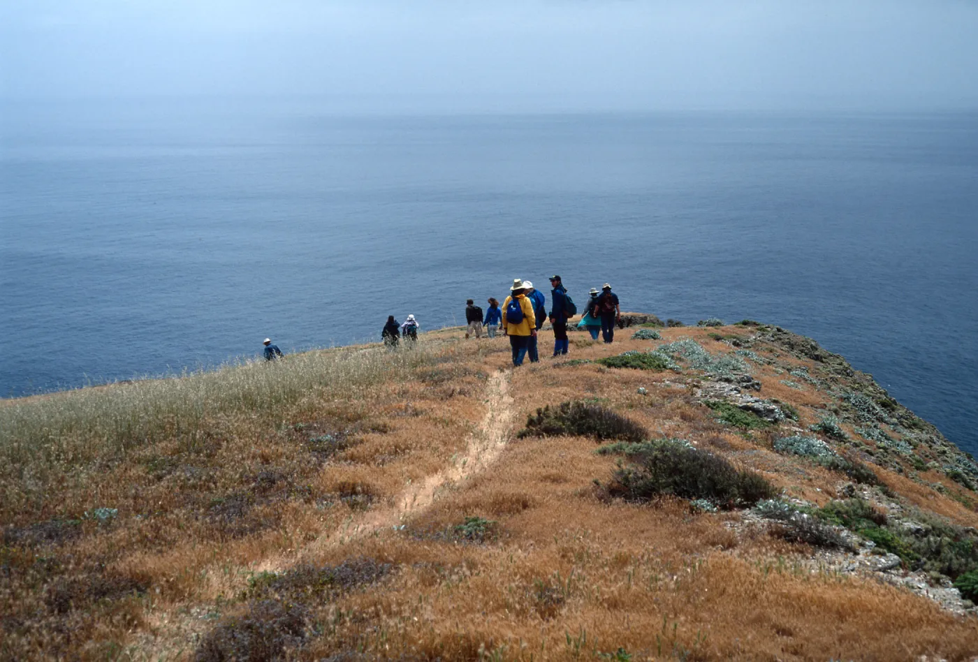 Santa Barbara Island, Group by Signal Peak