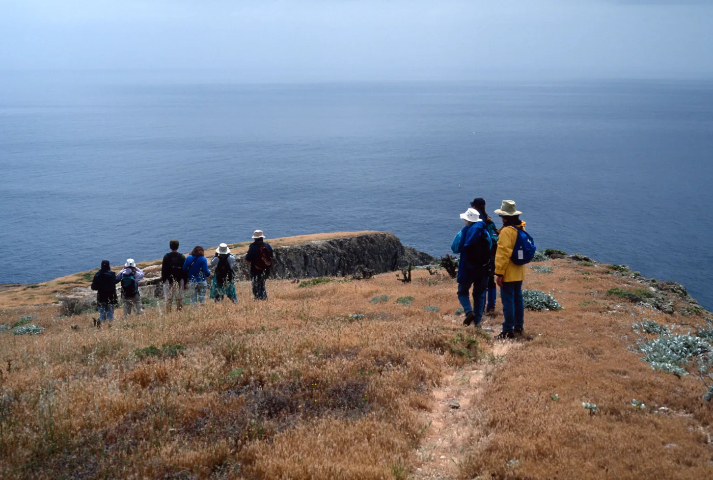 Santa Barbara Island, Group by Signal Peak