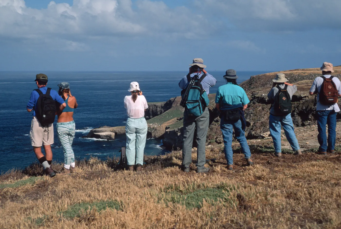 Santa Barbara Island, west end, Birdwatching group
