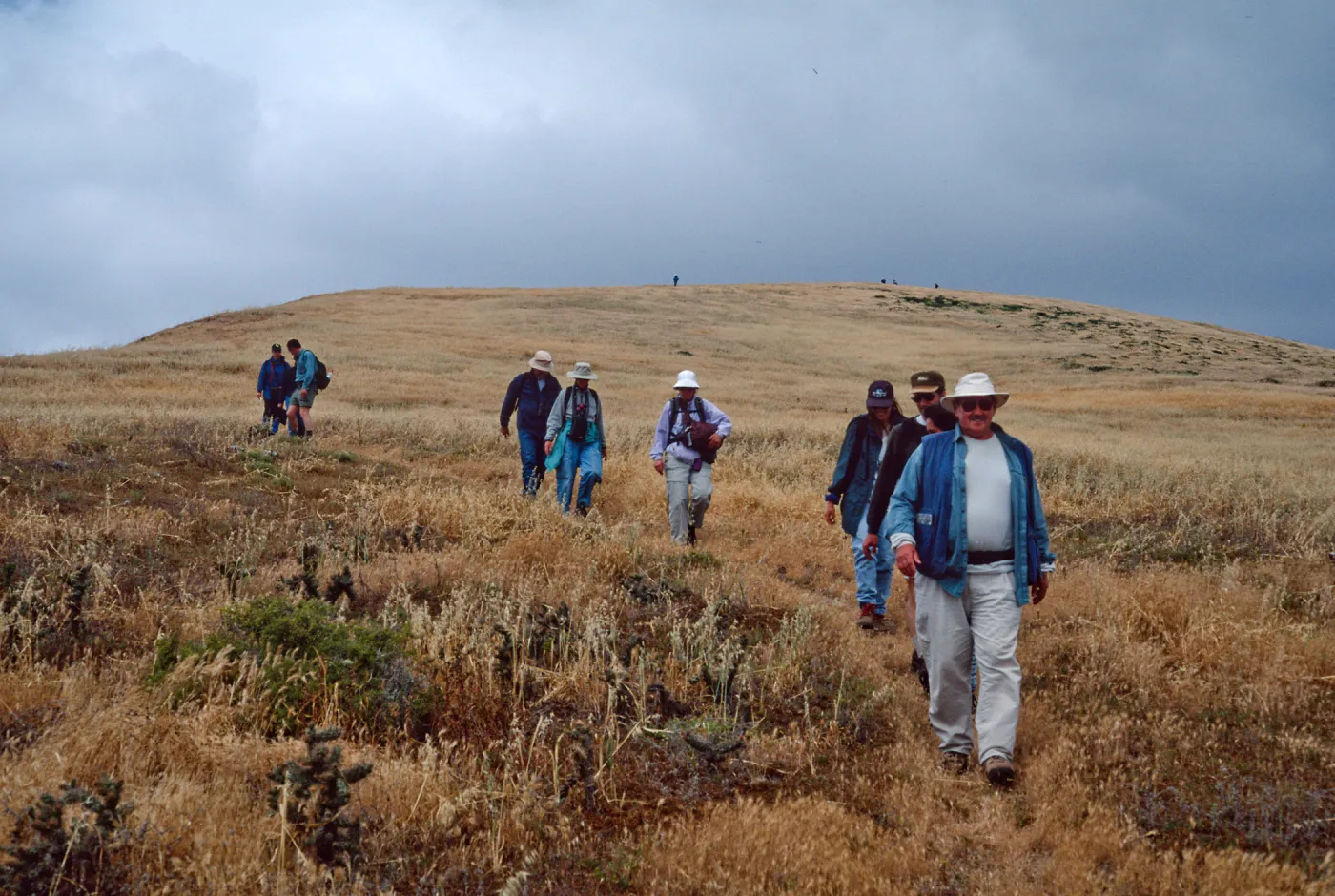 Birdwatching group--Signal Peak, Santa Barbara Island
