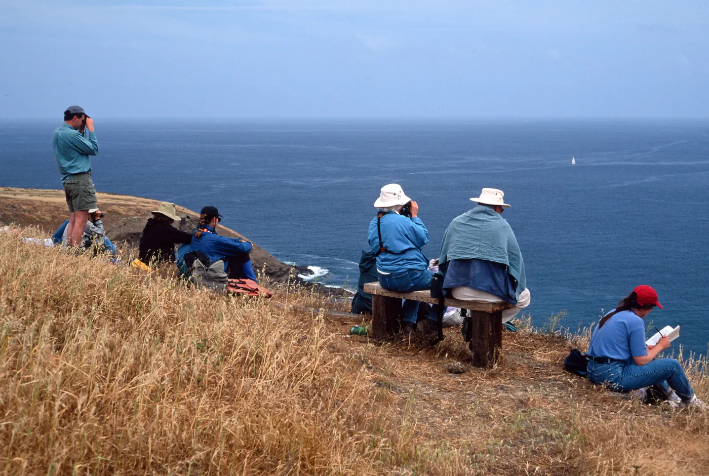 Santa Barbara Island, Birdwatching group