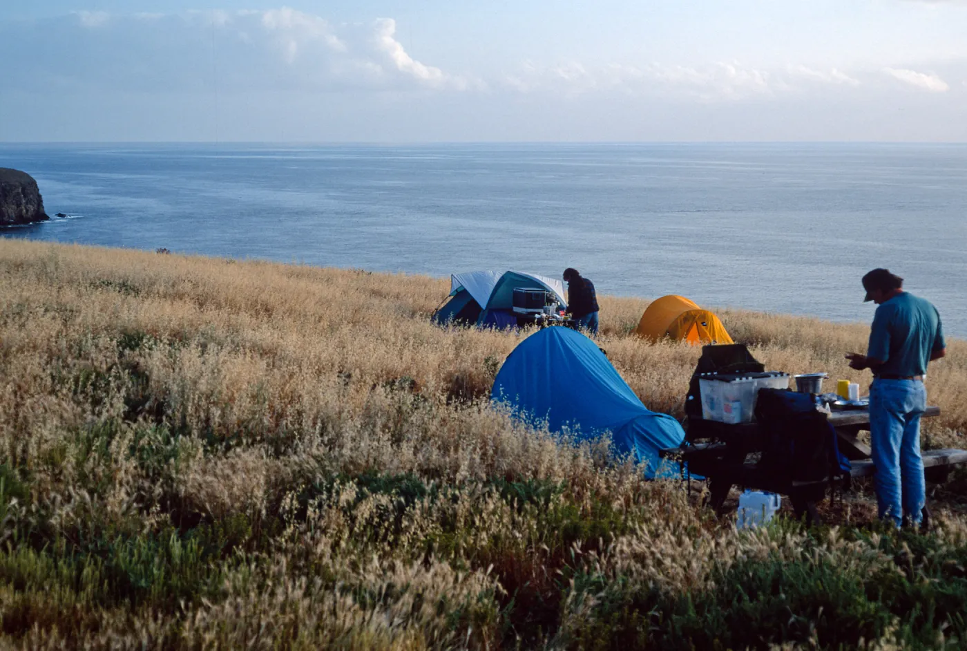 Santa Barbara Island, campground