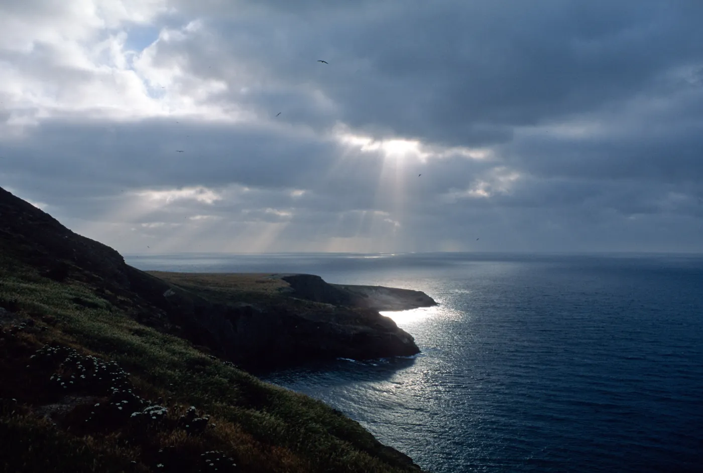 Santa Barbara Island, Sunbeams over Webster Point