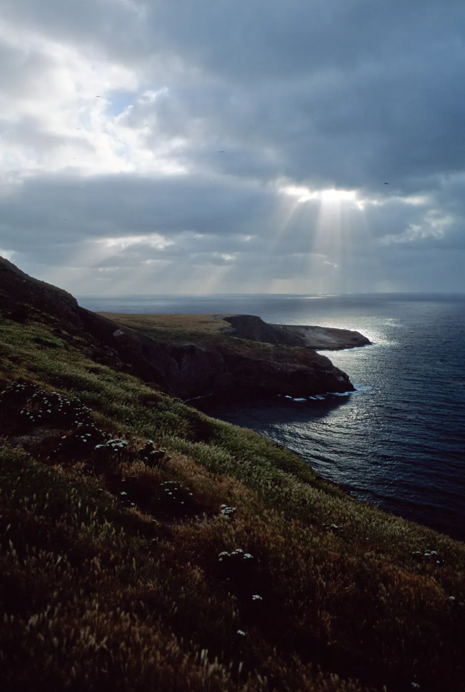Santa Barbara Island, Sunbeams over Webster Point