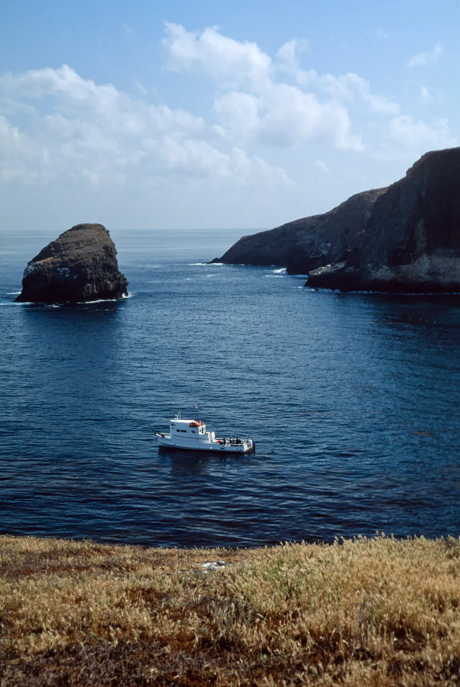 Santa Barbara Island, W side of North Peak, Dive boat