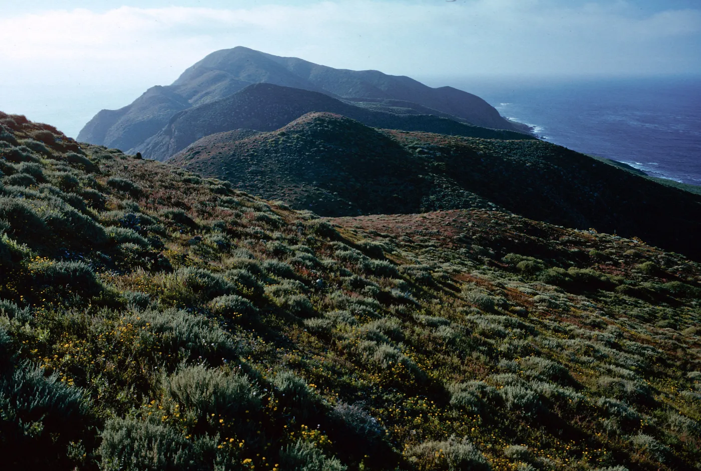 Natividad Island, N end