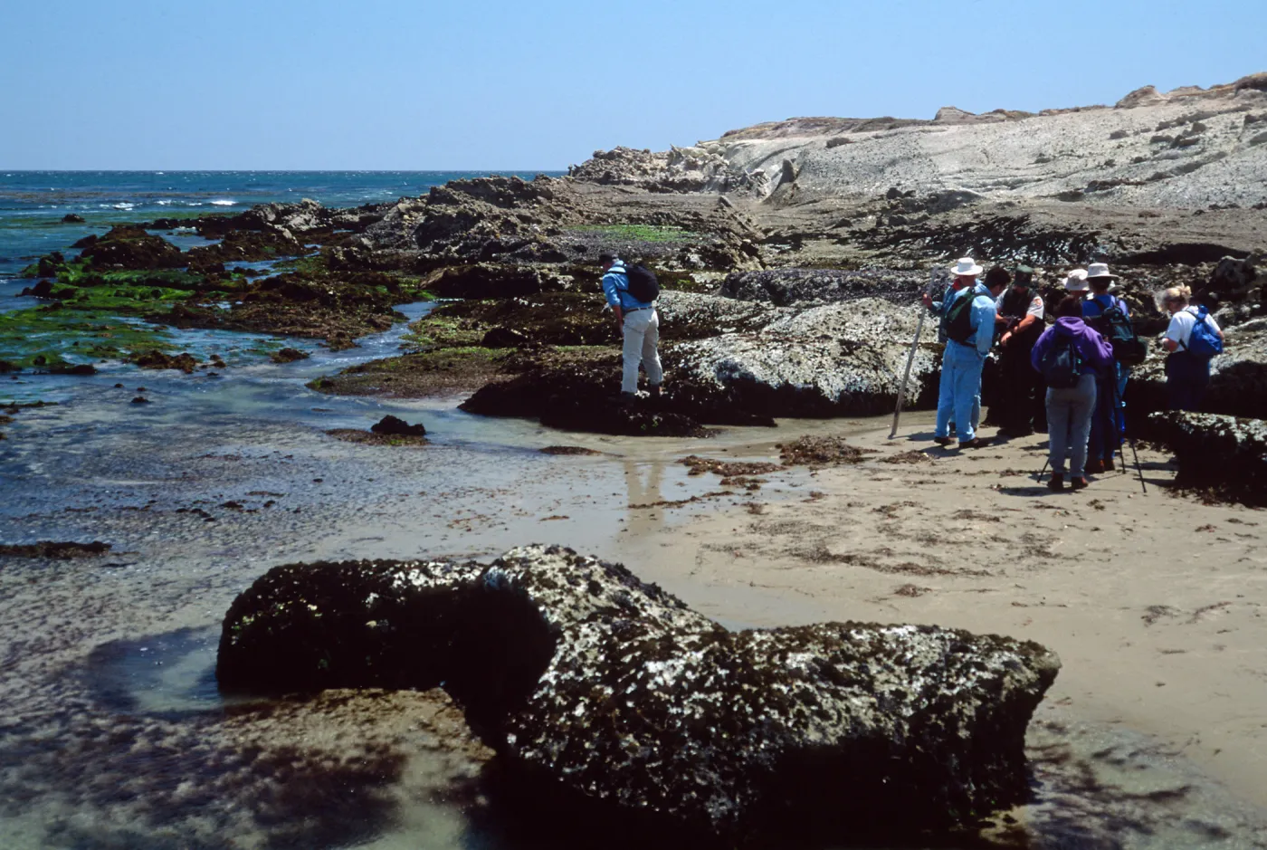 Field study group, Santa Rosa Island, east point tide pools