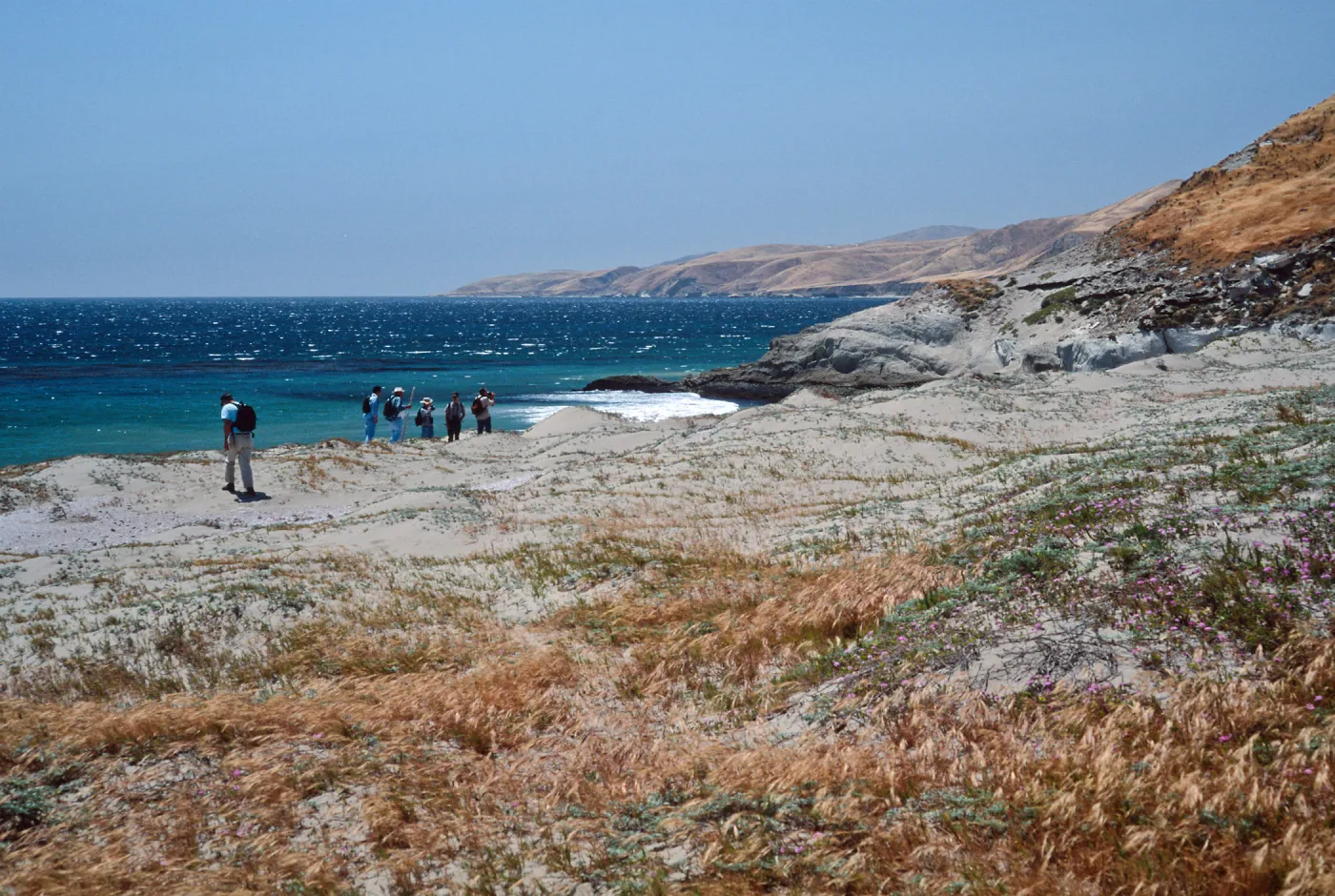 Field study group, Santa Rosa Island, S of East Point