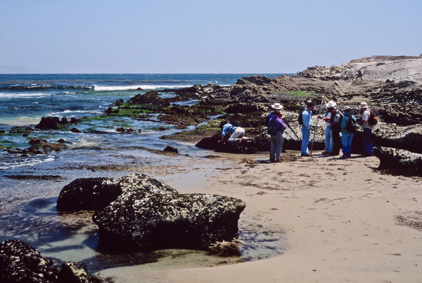 field study group, Santa Rosa Island, East Point tide pools