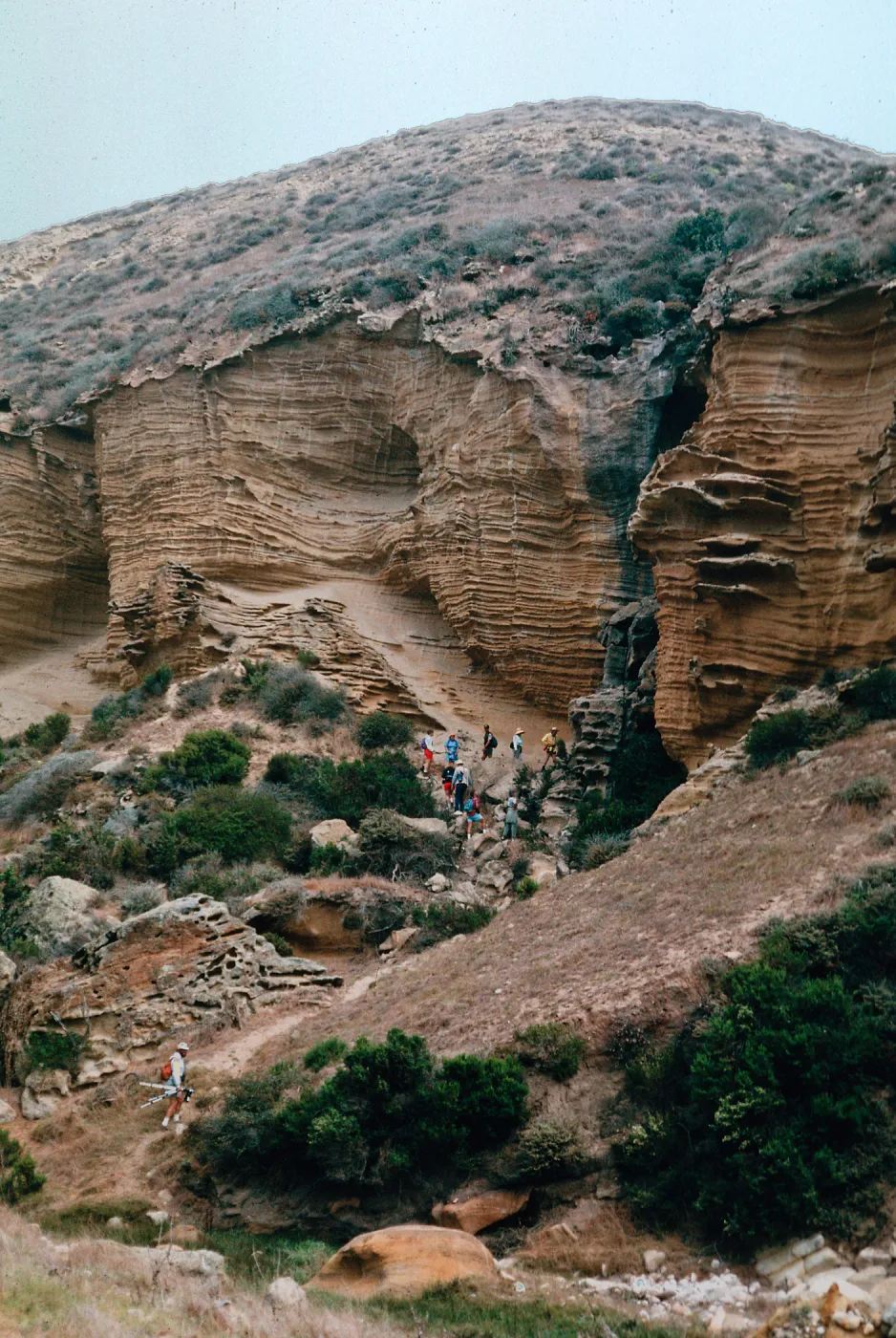 Lobo Canyon, Santa Rosa Island